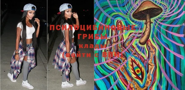 кокаин перу Дмитриев