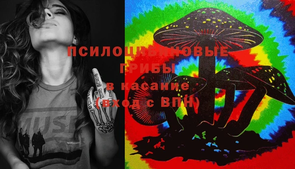 кокаин перу Дмитриев