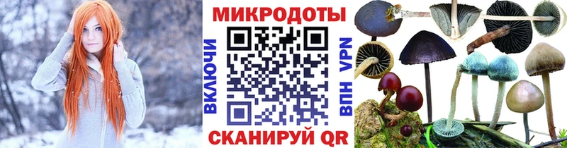 Псилоцибиновые грибы MAGIC MUSHROOMS Купить где Ликино-Дулёво